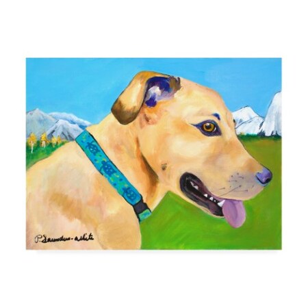 Trademark Fine Art Pat Saunders-White 'Hadley X Large Copy' Canvas Art, 35x47 PS00263-C3547GG